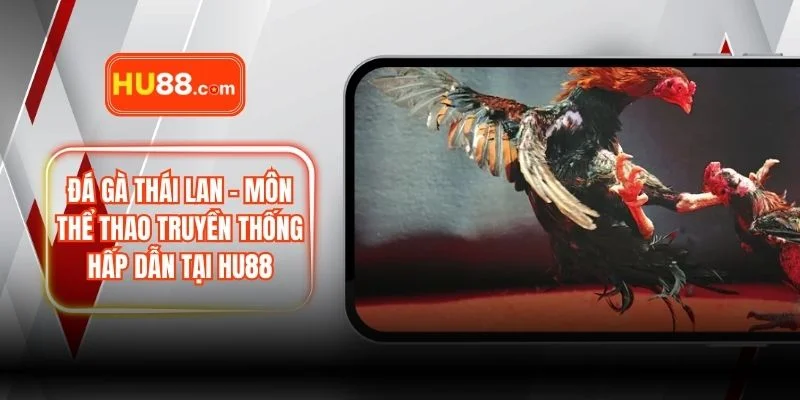 Đá Gà Thái Lan – Môn Thể Thao Truyền Thống Hấp Dẫn Tại HU88