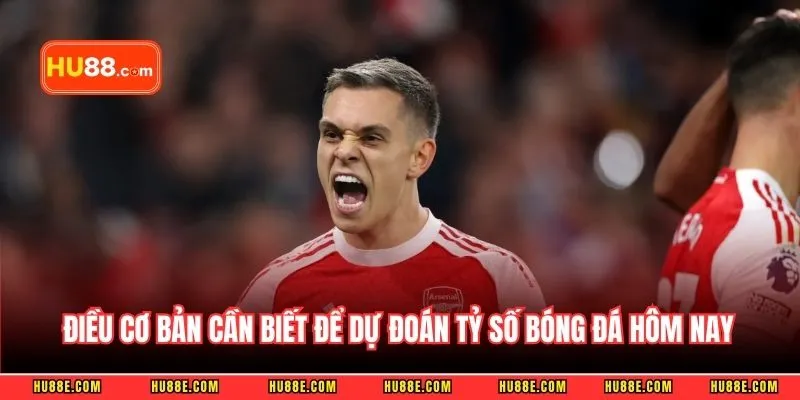 Đôi điều cơ bản cần biết để dự đoán tỷ số bóng đá hôm nay hiệu quả