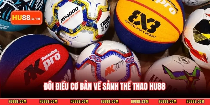 Đôi điều cơ bản về sảnh thể thao HU88