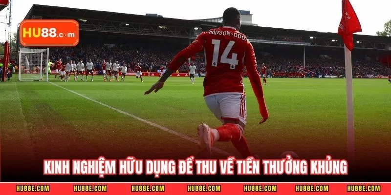 Kinh nghiệm hữu dụng từ cao thủ để thu về tiền thưởng khủng