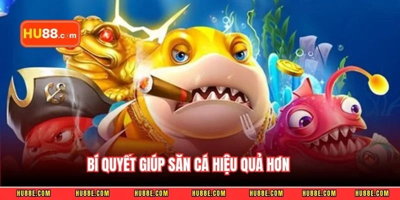 Bí quyết giúp săn cá hiệu quả hơn