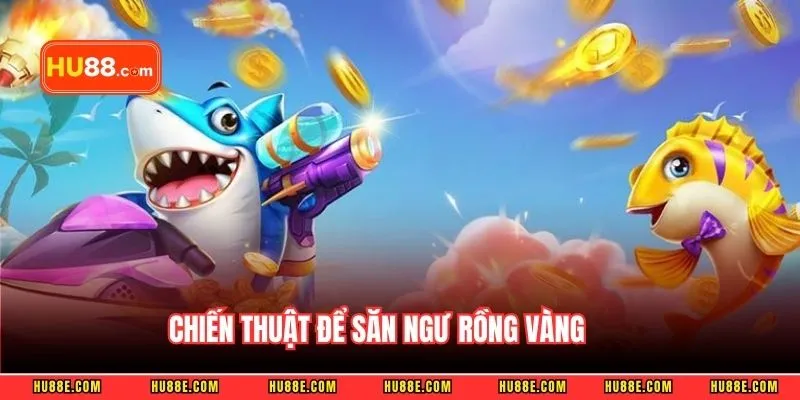 Chiến thuật để săn ngư rồng vàng