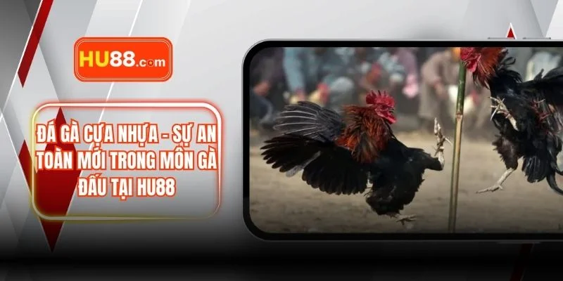 Đá Gà Cựa Nhựa – Sự An Toàn Mới Trong Môn Gà Đấu Tại HU88