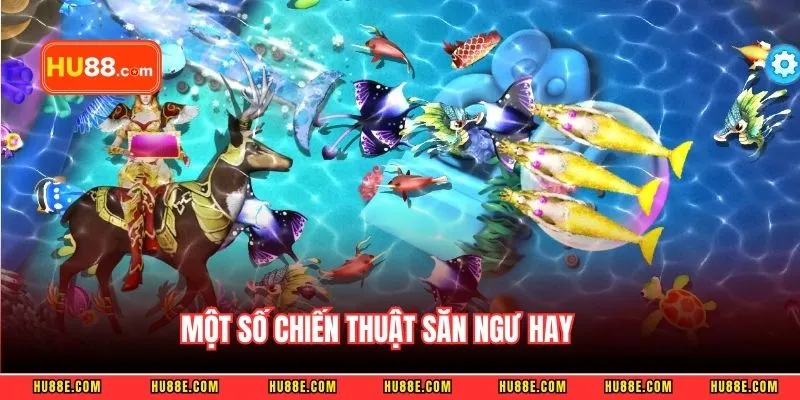 Một số chiến thuật săn ngư hay