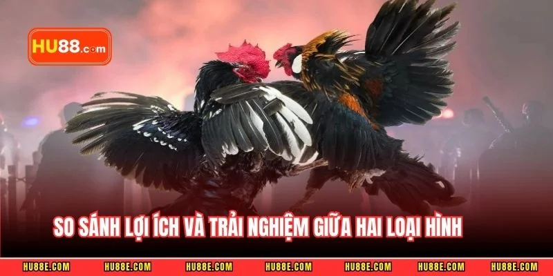 So sánh lợi ích và trải nghiệm giữa hai loại hình 